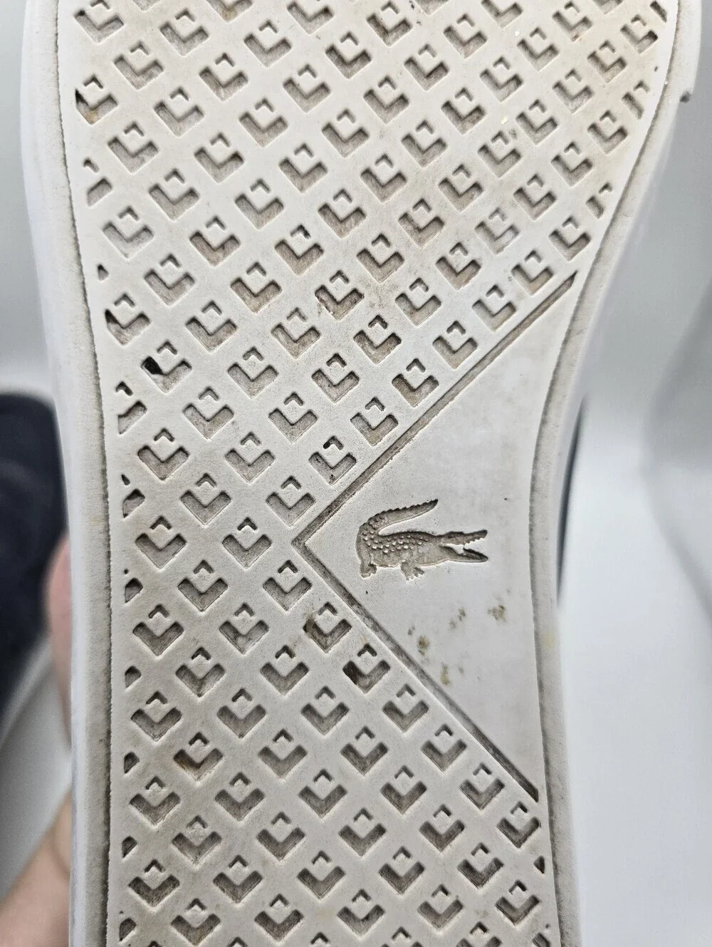 Lacoste sleek navy